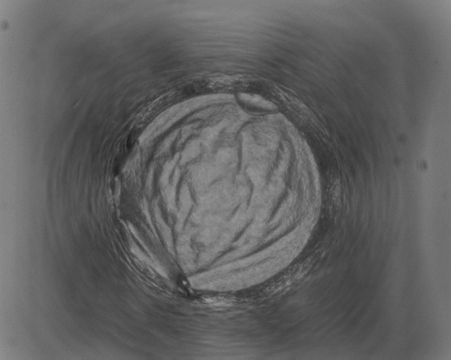 X0000083640914200703121715