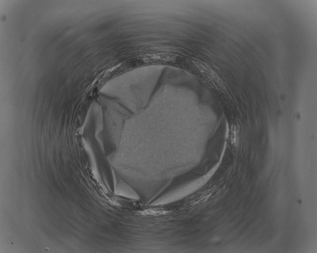 X0000083640915200703121715