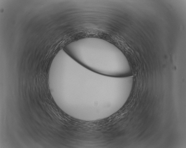 X0000083640916200703121715