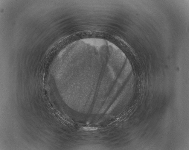 X0000083640919200703121716