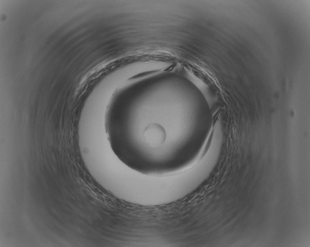 X0000083640920200703121716