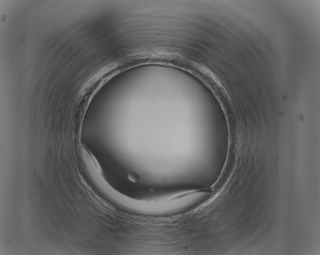 X0000083640922200703121716