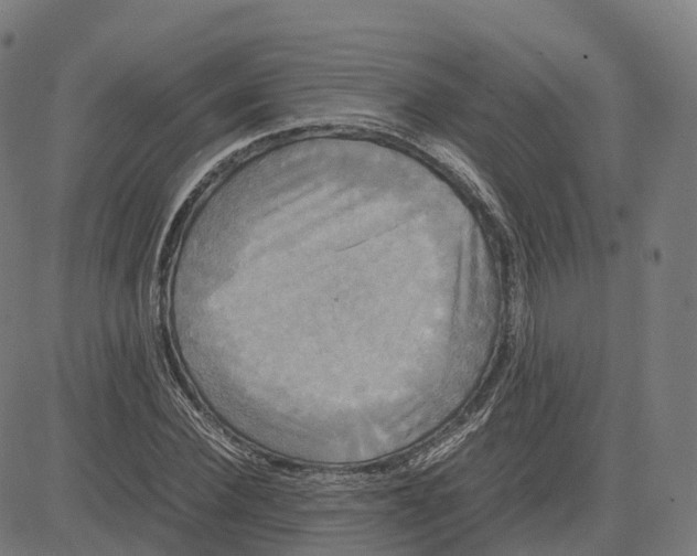 X0000083640924200703121716