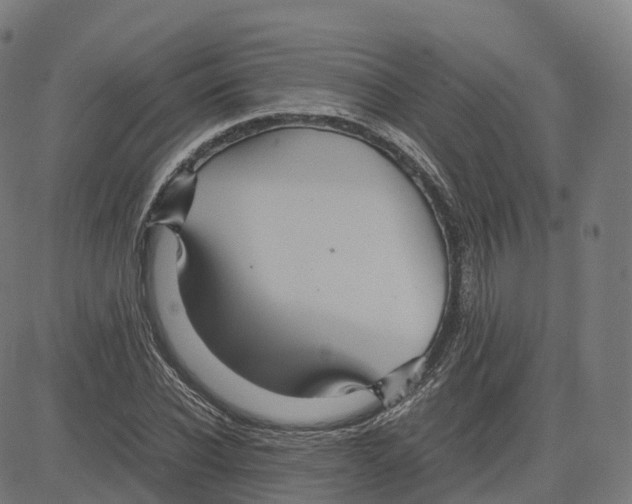 X0000083640926200703121716