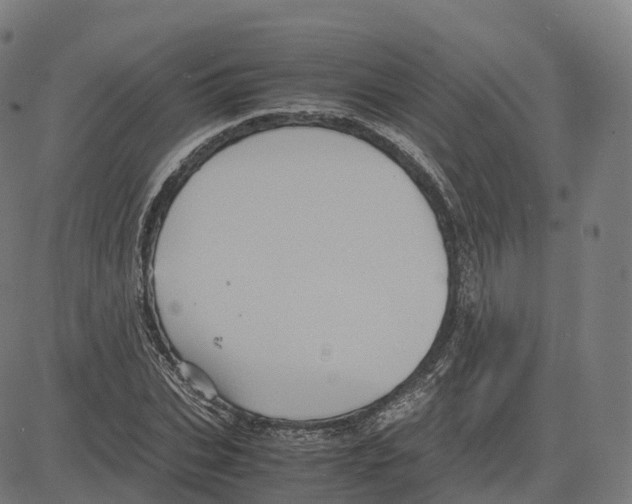 X0000083640927200703121716