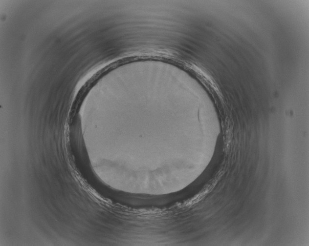 X0000083640928200703121716