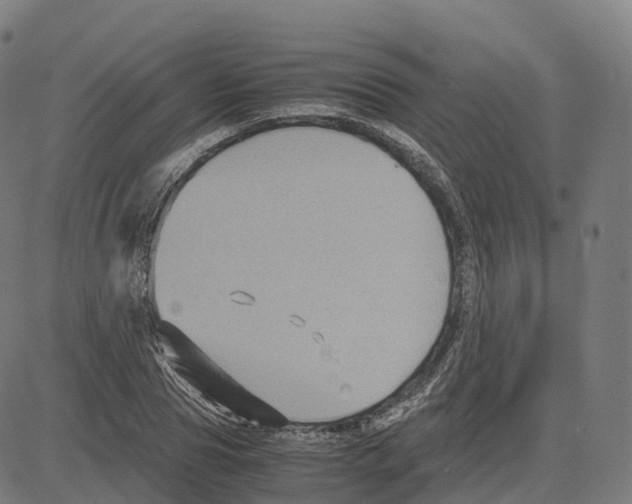 X0000083640929200703121716