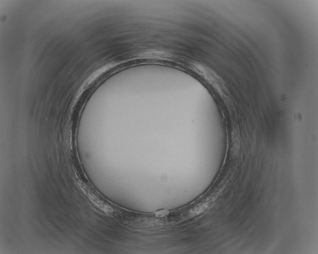 X0000083640931200703121716