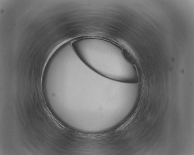 X0000083640932200703121716