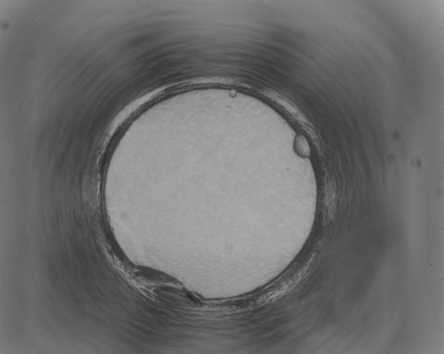 X0000083640933200703121716