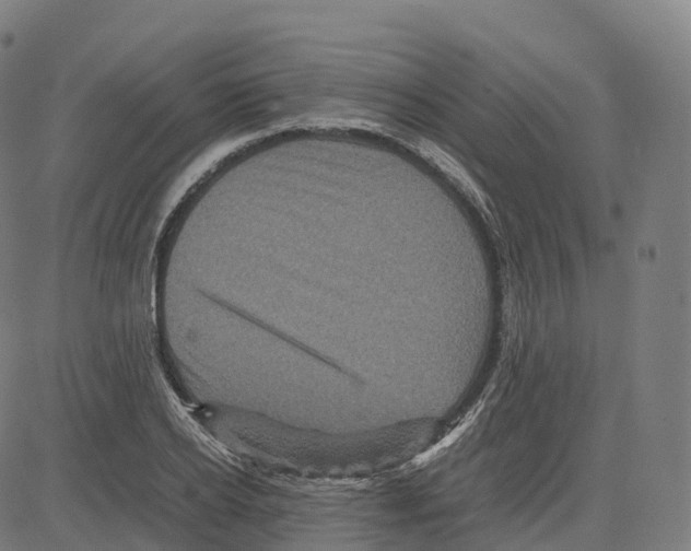 X0000083640934200703121716