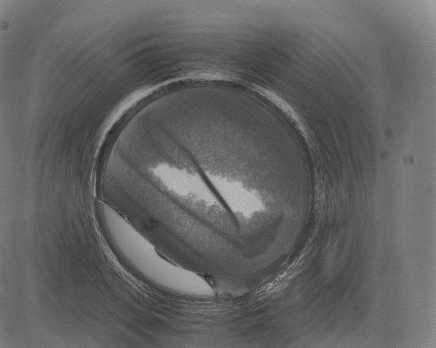 X0000083640935200703121716