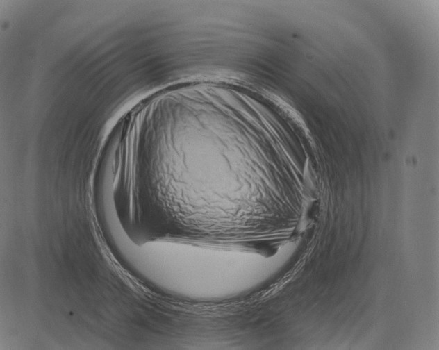 X0000083640936200703121716