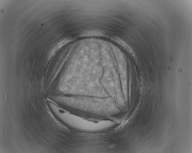 X0000083640937200703121716