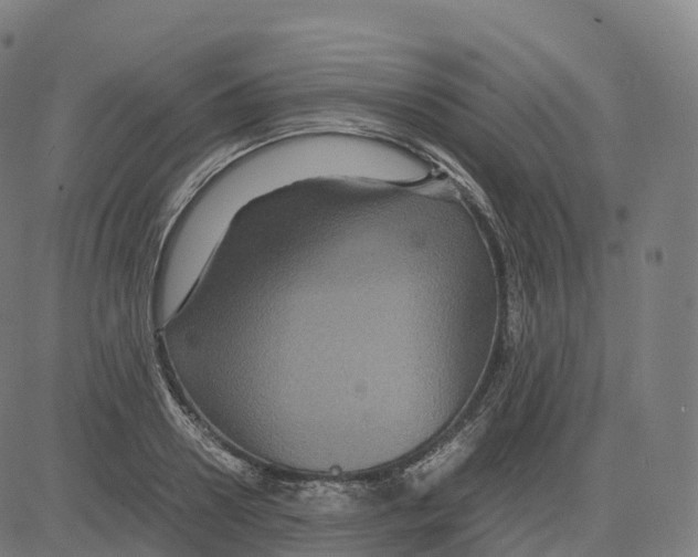 X0000083640938200703121716