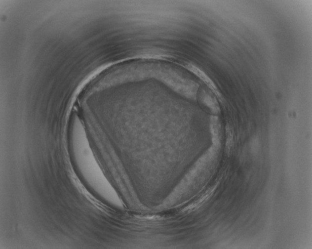 X0000083640939200703121716