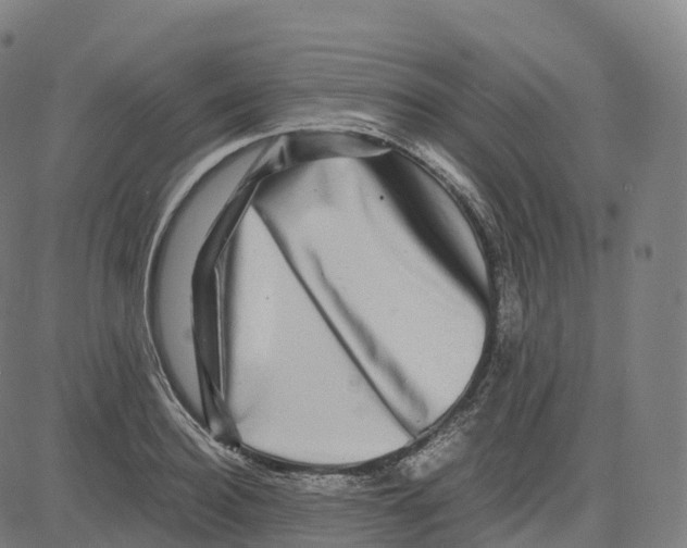 X0000083640940200703121716