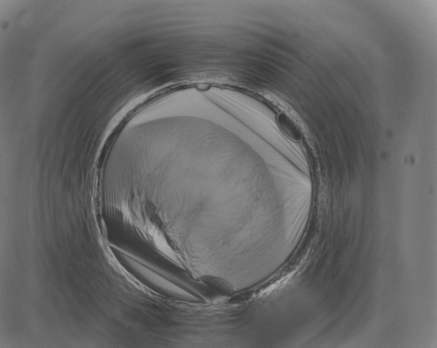 X0000083640941200703121716