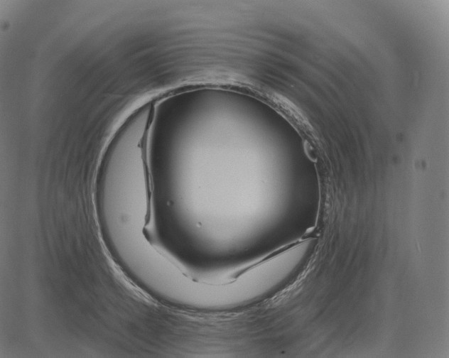 X0000083640942200703121716