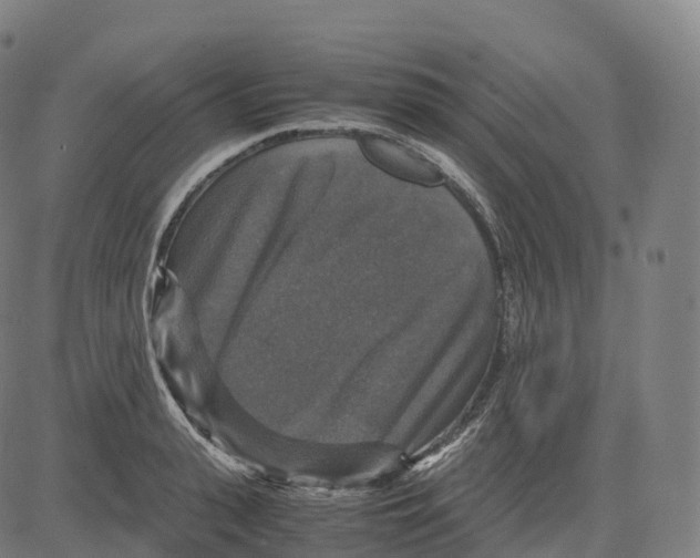 X0000083640943200703121716