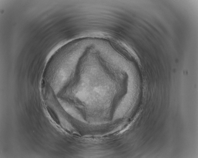 X0000083640944200703121716