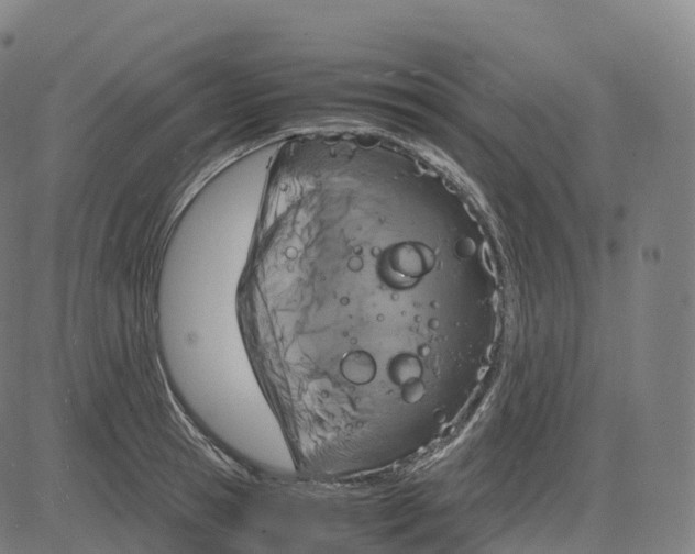 X0000083640945200703121716