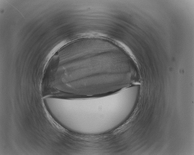 X0000083640946200703121716