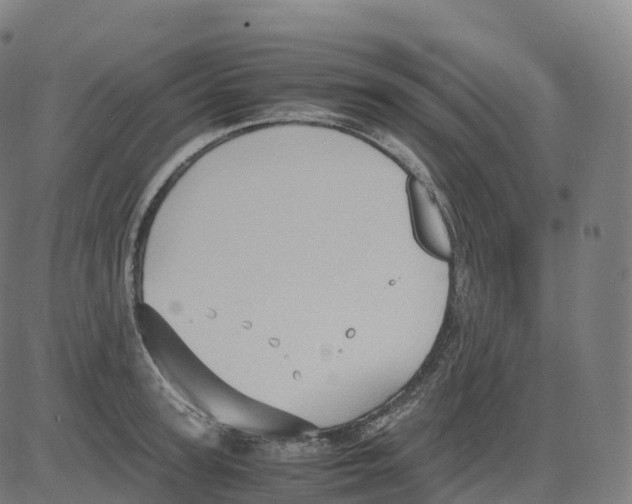 X0000083640947200703121716