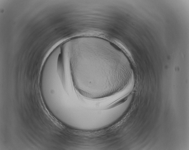 X0000083640948200703121716