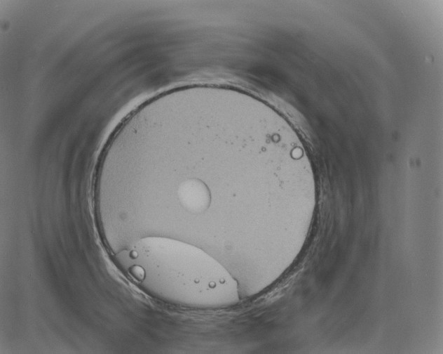 X0000083640950200703121716