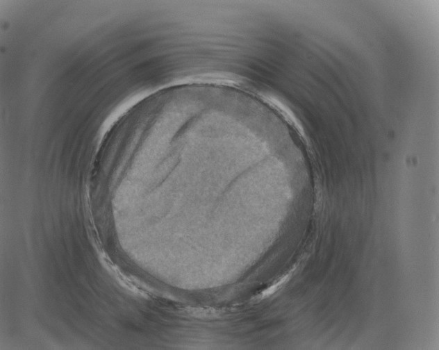 X0000083640952200703121716