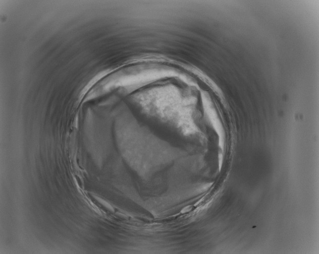 X0000083640953200703121716