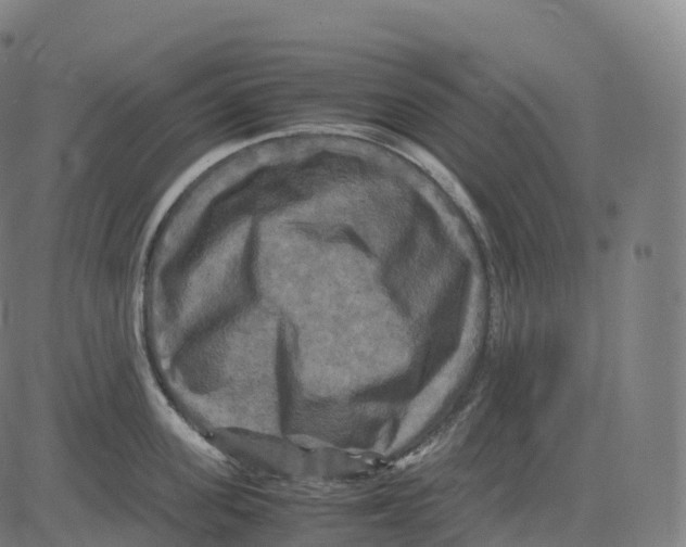 X0000083640955200703121716