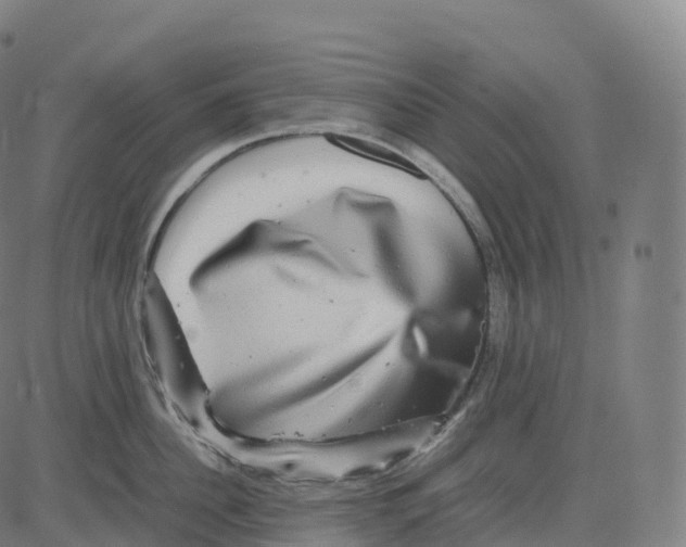 X0000083640956200703121716