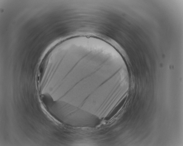 X0000083640958200703121716