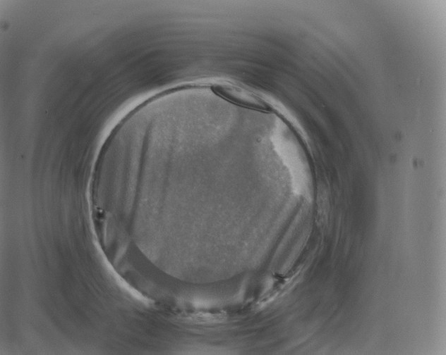 X0000083640959200703121716