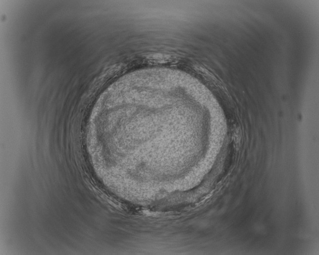 X0000083640961200703121715