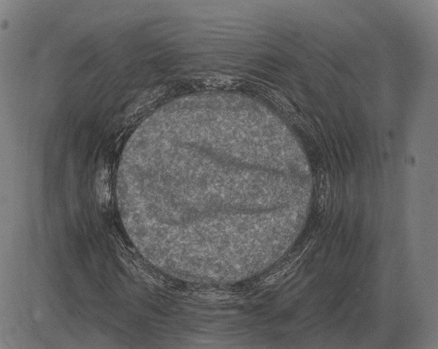 X0000083640962200703121715