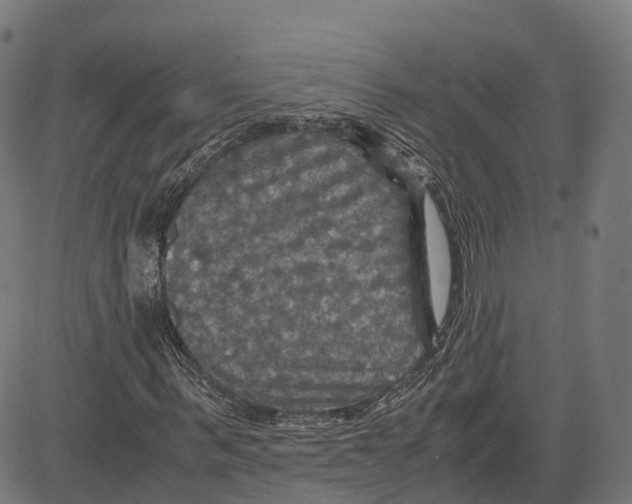 X0000083640963200703121715