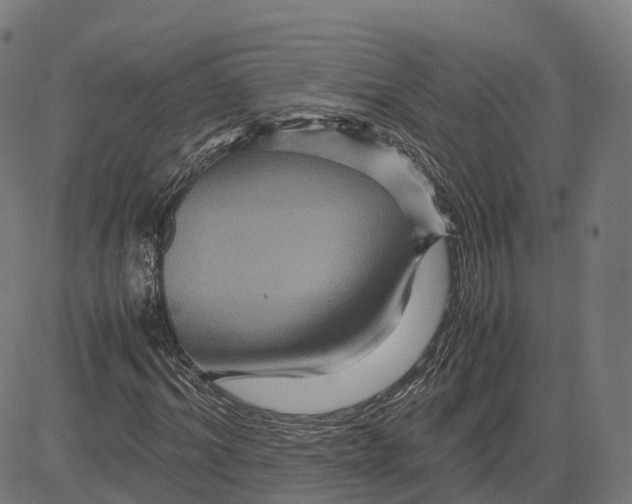 X0000083640964200703121715