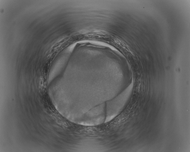 X0000083640966200703121715