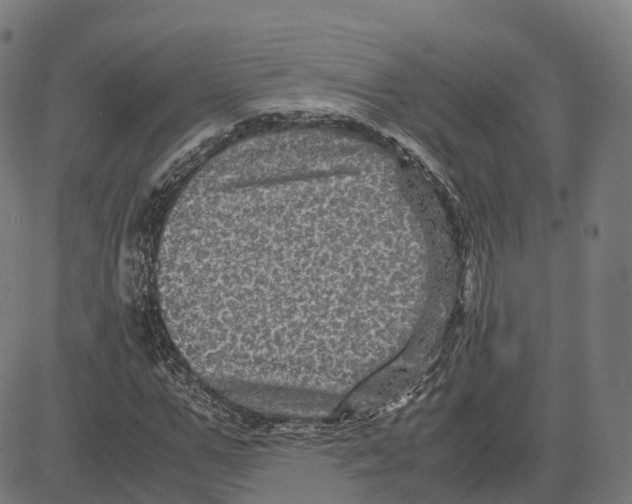 X0000083640967200703121715