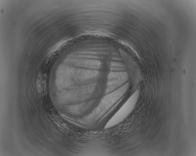 X0000083640968200703121715