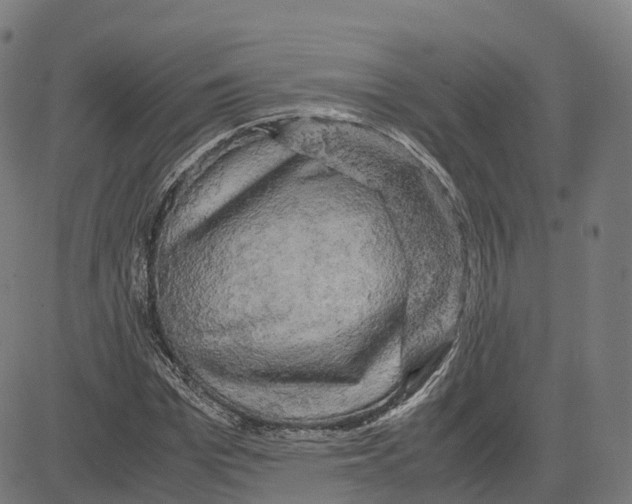 X0000083640969200703121715