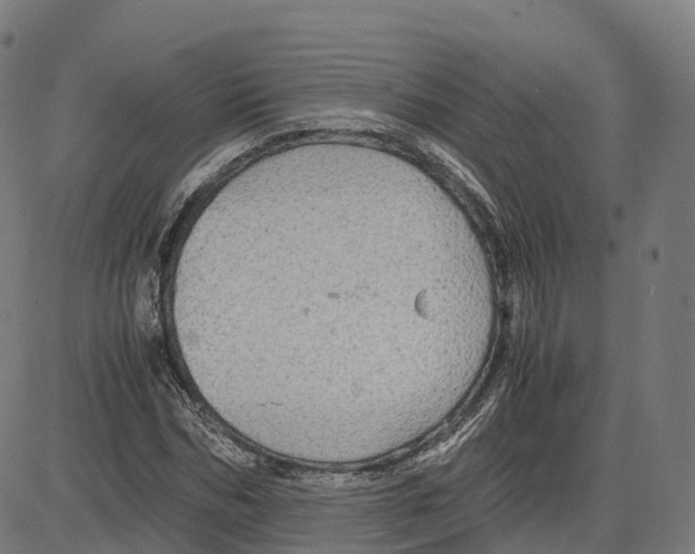 X0000083640970200703121715