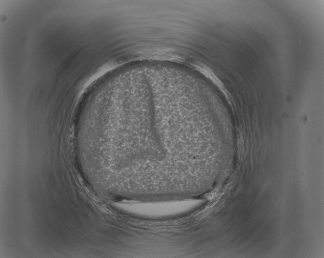 X0000083640971200703121715