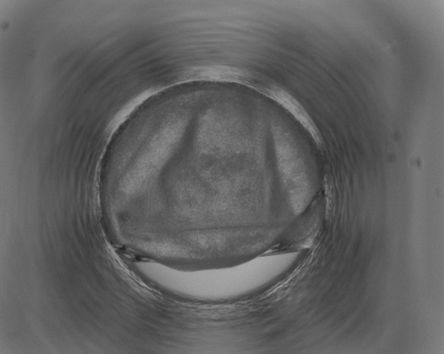 X0000083640972200703121715