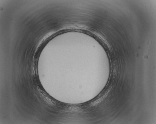 X0000083640974200703121715