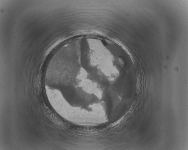 X0000083640975200703121715