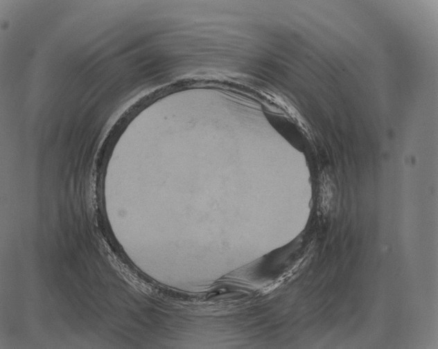 X0000083640976200703121715